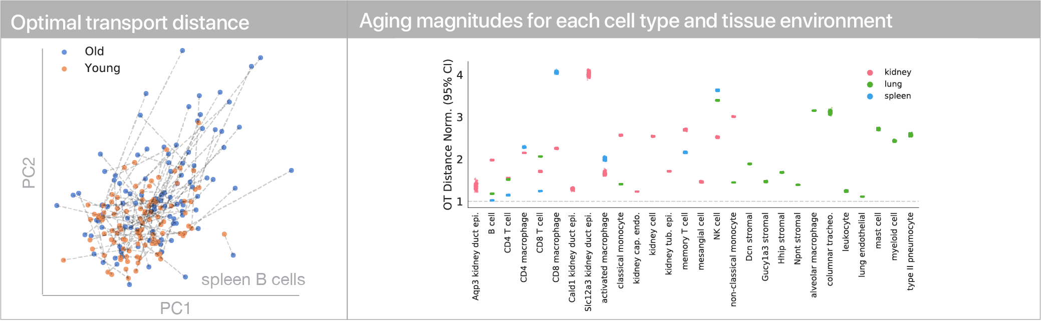 Aging magnitude