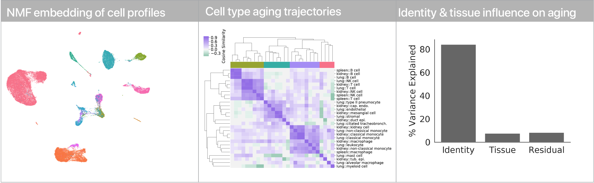 Aging trajectories