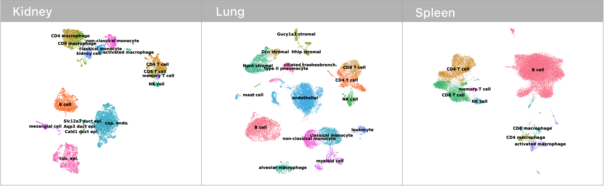 Cell type latent space